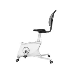 Ghế công thái học thể dục Flexispot FC211