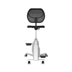 Ghế công thái học thể dục Flexispot FC211