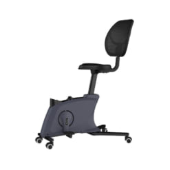 Ghế công thái học thể dục Flexispot FC211