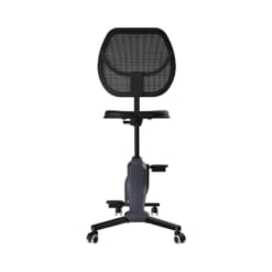 Ghế công thái học thể dục Flexispot FC211