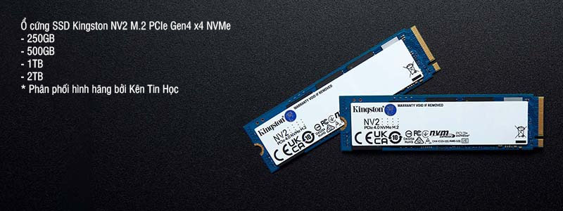 Ổ cứng SSD Kingston NV2 M.2 PCIe Gen4 x4 NVMe 500GB (SNV2S500G)