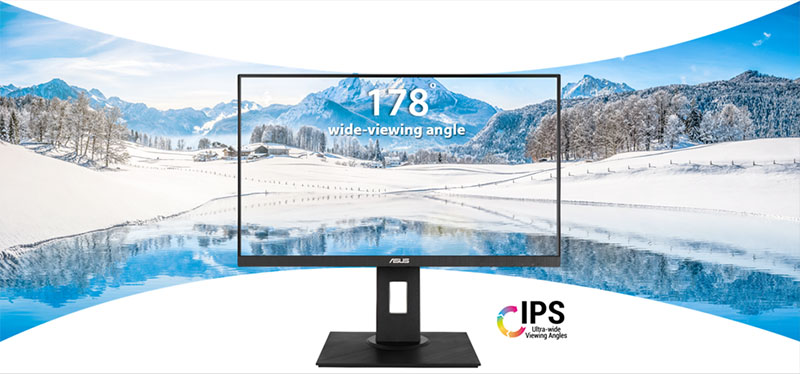 Màn hình Asus VA24DQLB (24 inch - FHD - IPS - 75Hz) viền mỏng
