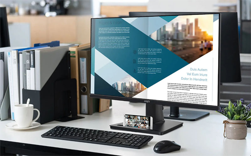 Màn hình MSI Pro MP251 (25 inch - FHD - IPS - 100Hz - 1ms)